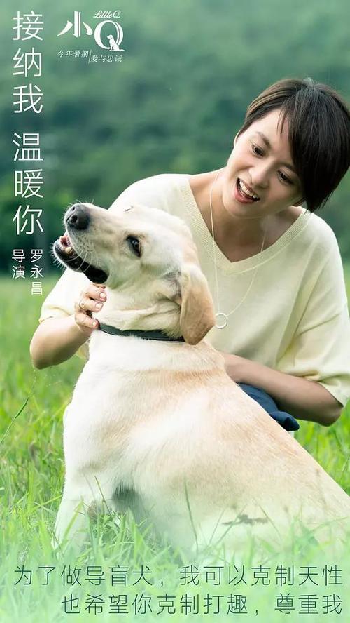 房屋不动产证是不是房产证